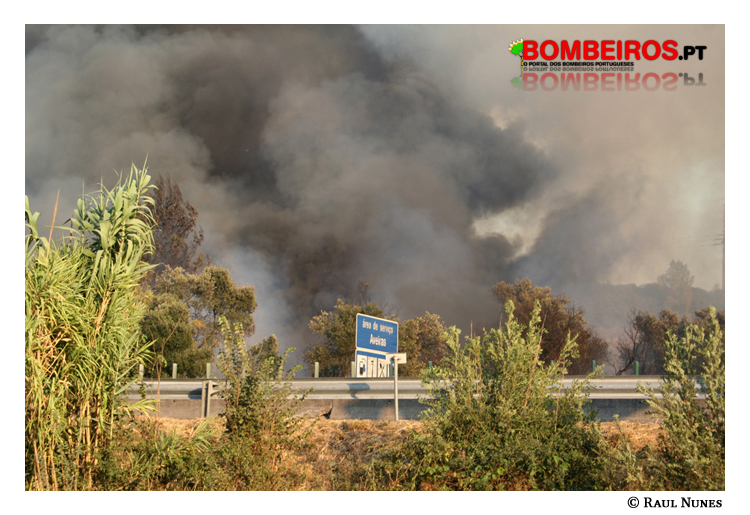 Imagem 02