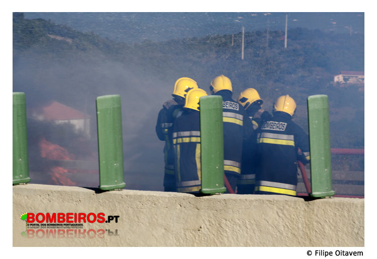 Imagem 08