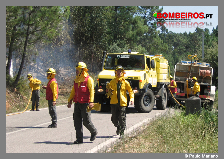 Imagem 01