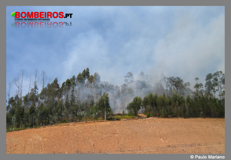 Imagem 09