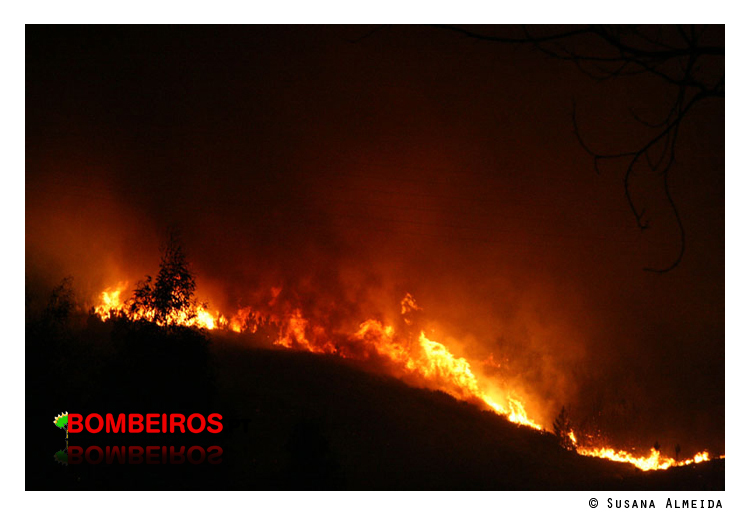 Imagem 12