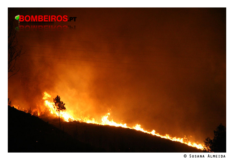 Imagem 13
