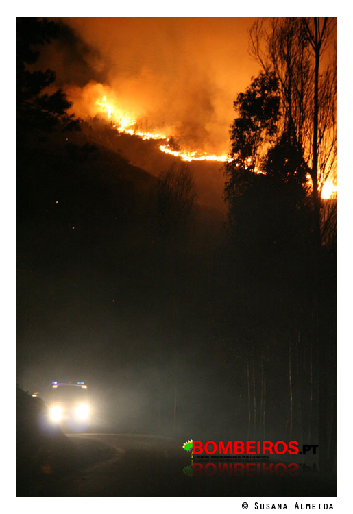 Imagem 14
