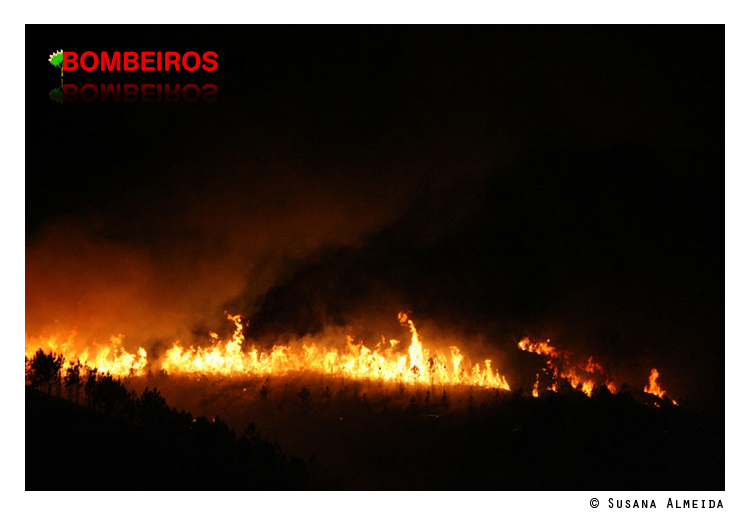 Imagem 21