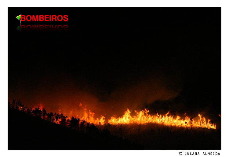 Imagem 22