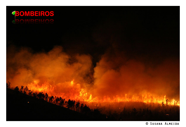 Imagem 26