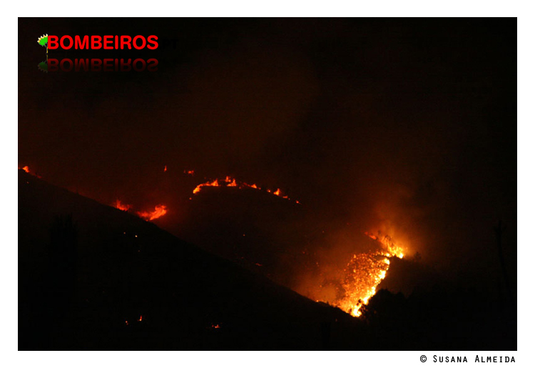 Imagem 27