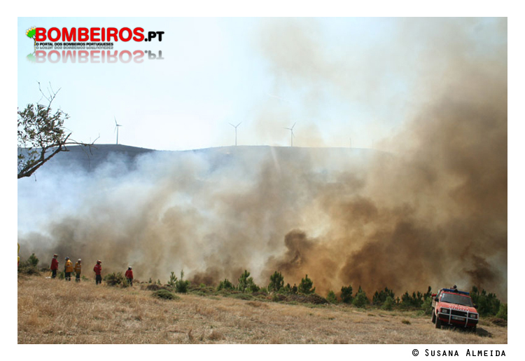 Imagem 38