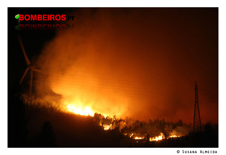 Imagem 08