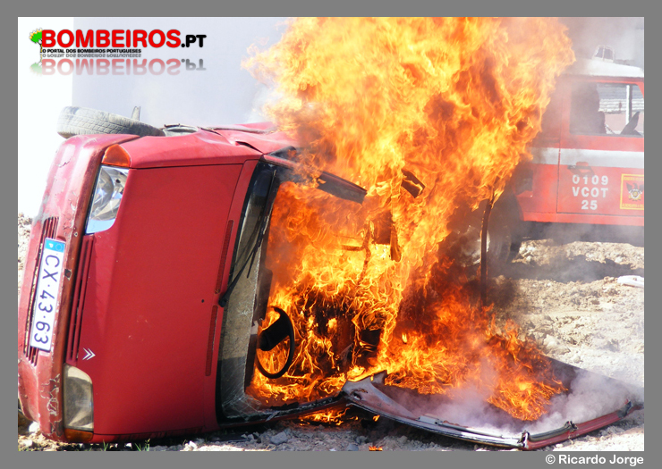 Imagem 17