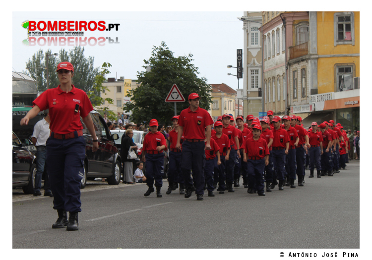 Imagem 29