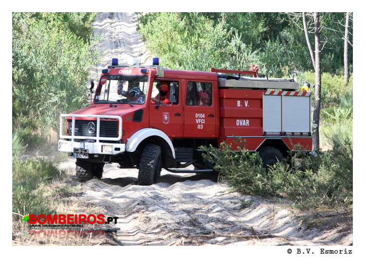 Imagem 11