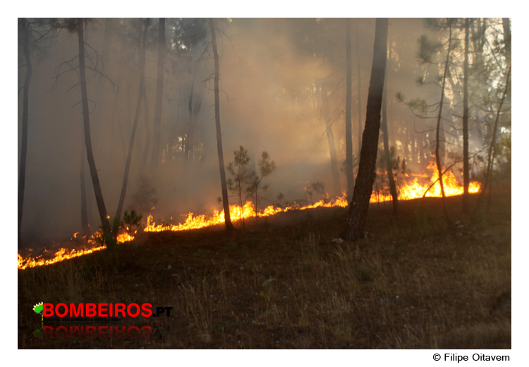 Imagem 88