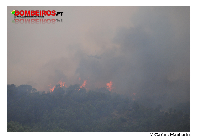 Imagem 12