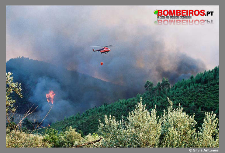 Imagem 04