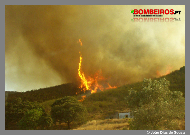Imagem 08