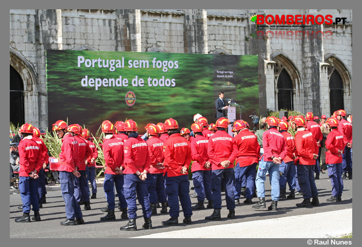 Imagem 14