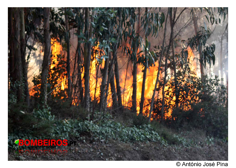Imagem 43