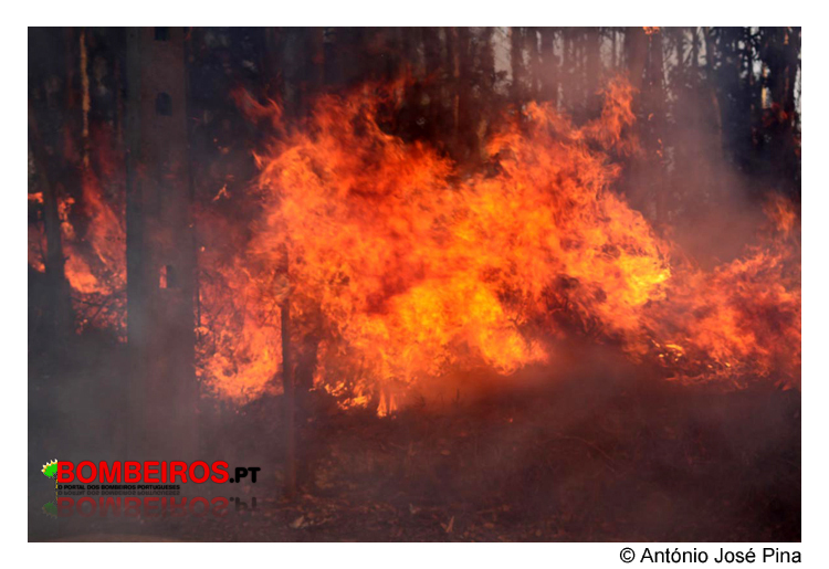 Imagem 47
