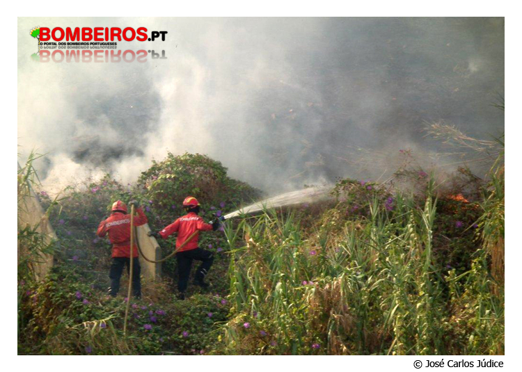 Imagem 10
