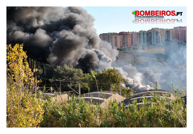 Imagem 04