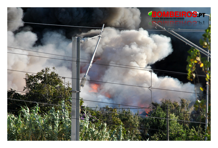 Imagem 15
