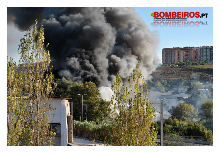 Imagem 17