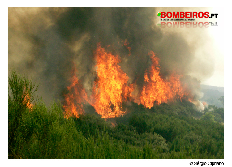 Imagem 09