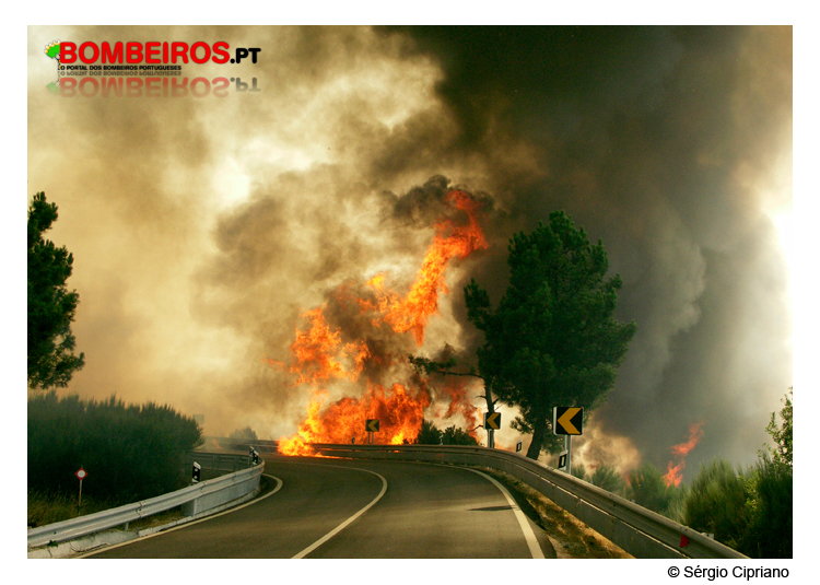 Imagem 14