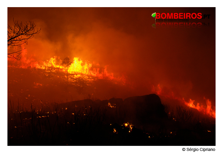 Imagem 40