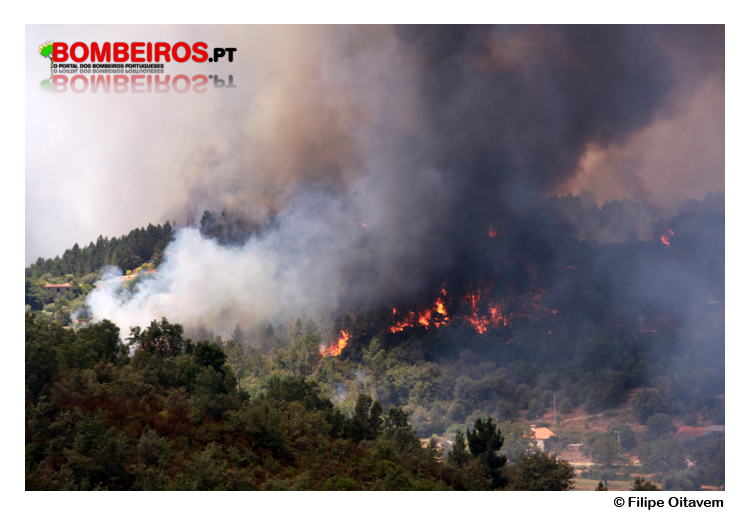 Imagem 06
