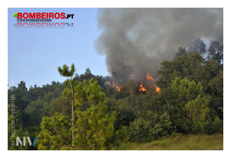 Imagem 08
