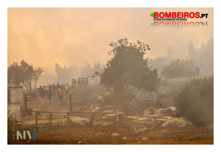 Imagem 139