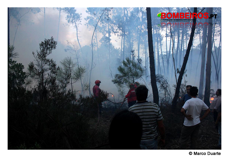 Imagem 29