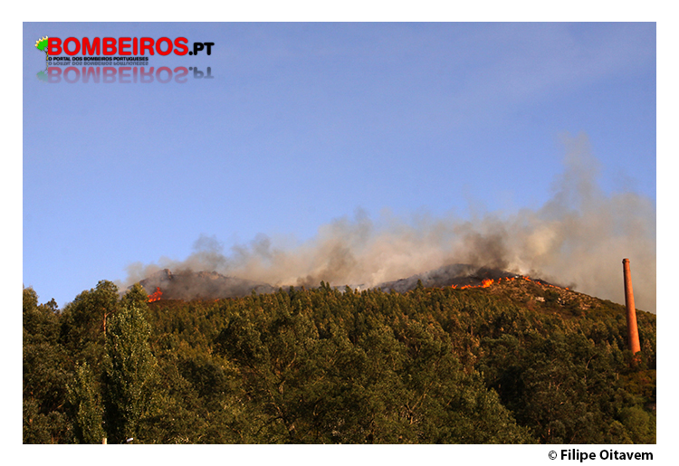 Imagem 01