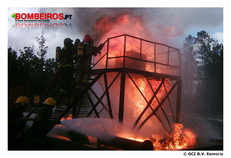 Imagem 08