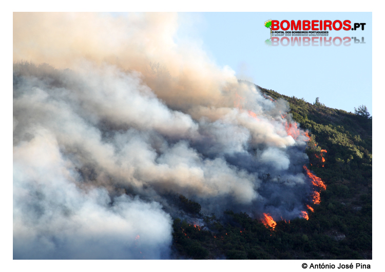 Imagem 13