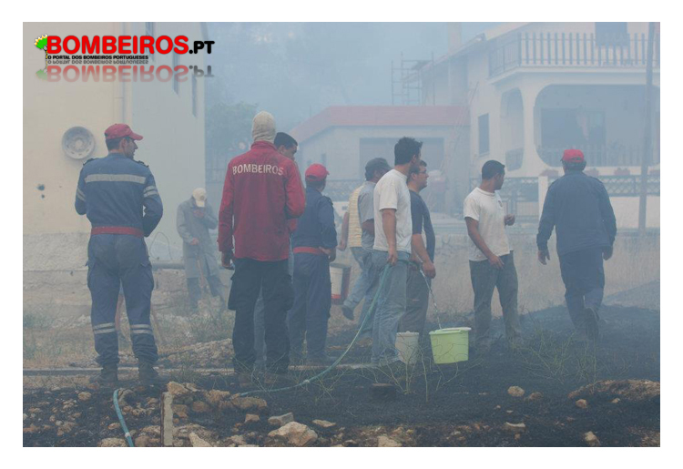 Imagem 11