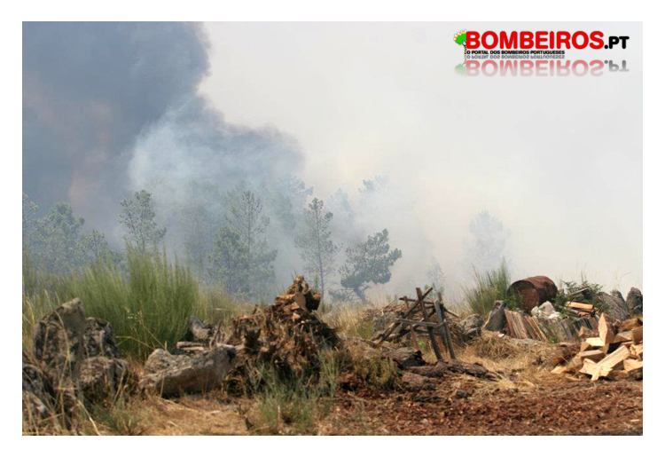 Imagem 06