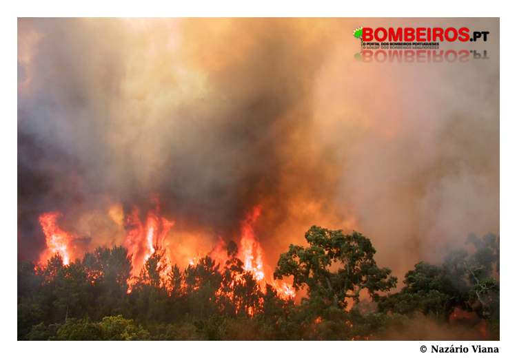 Imagem 01