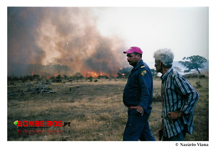 Imagem 13