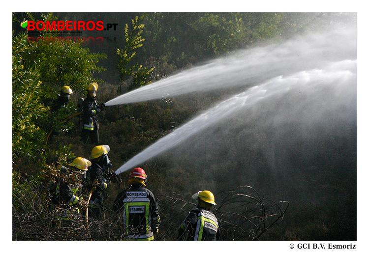 Imagem 21