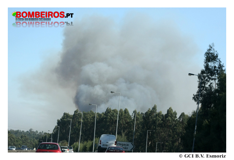 Imagem  01