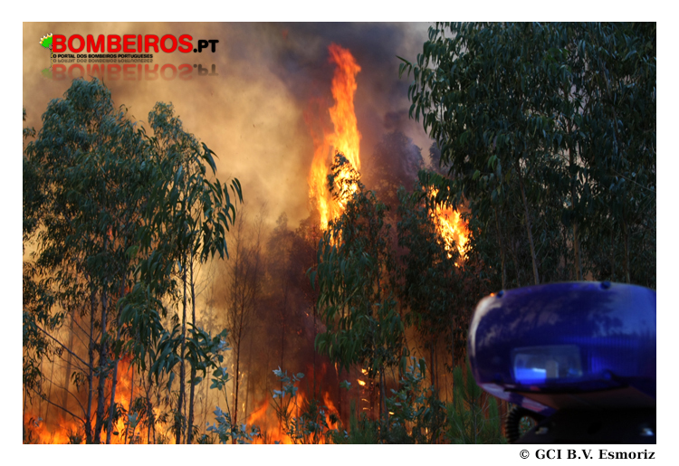 Imagem 12