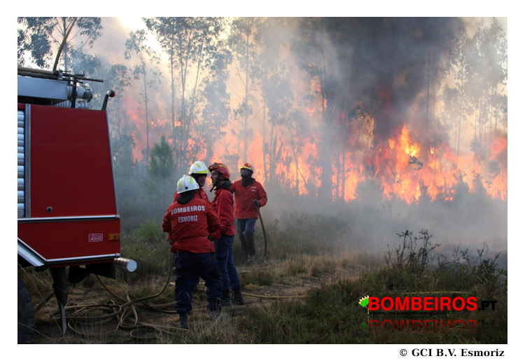 Imagem 38
