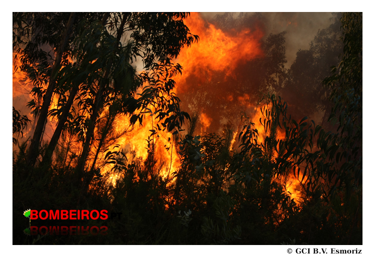 Imagem 09