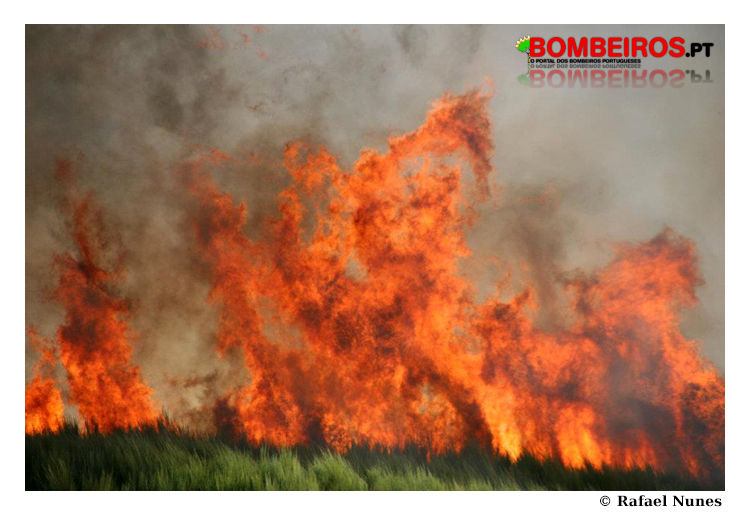 Imagem 05