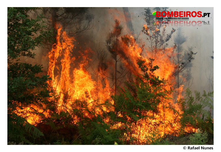 Imagem 14