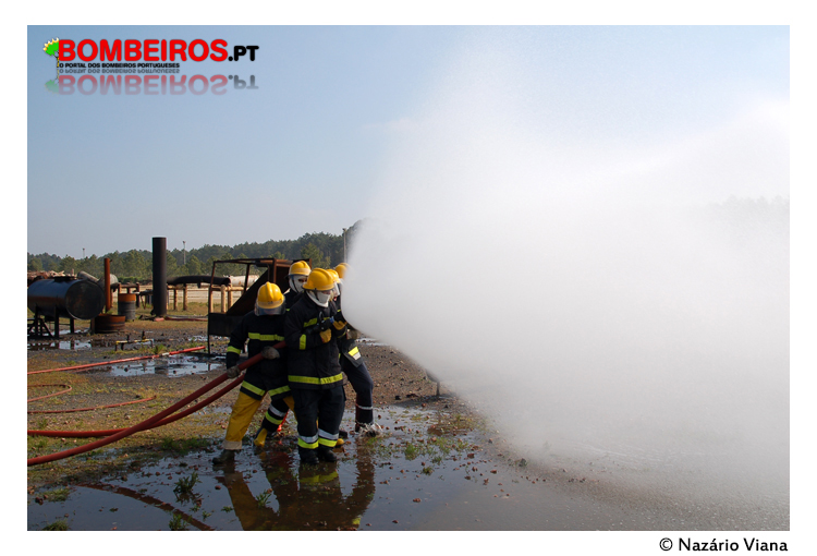 Imagem 13