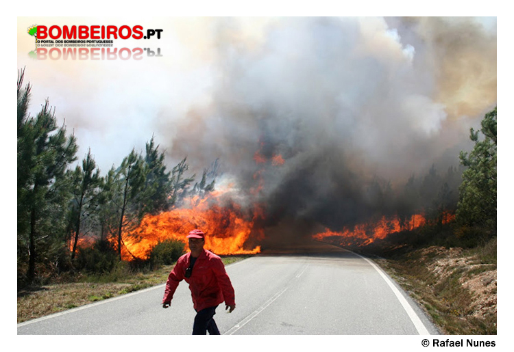 Imagem 46